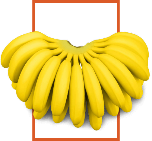 img-hom-01.png
